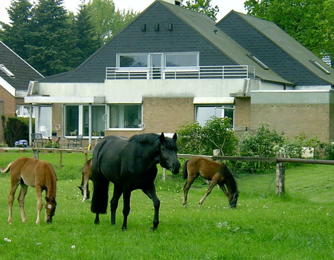 Stadt Trifft Land Apartment Munster (North Rhine-Westphalia)